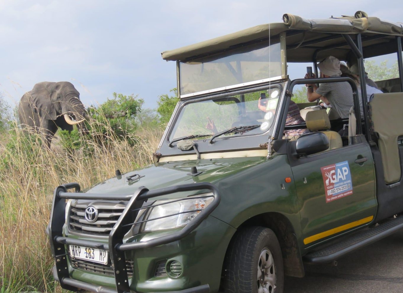 Kruger Nationalpark: Morgensafari