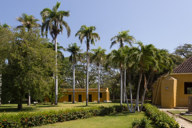 Santa Marta: Ciudad Vieja, Quinta San Pedro y Bahía de TagangaOpción estándar