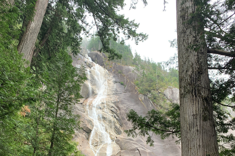 Vancouver City i Capilano Park Private Tour