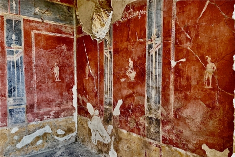 Pompeii: archeologische vindplaats begeleide wandeling en ticketRondleiding in het Engels