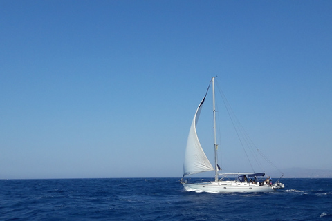 Mykonos: Delos and Rhenia Full-Day Sailing Cruise with MealPrivate Cruise