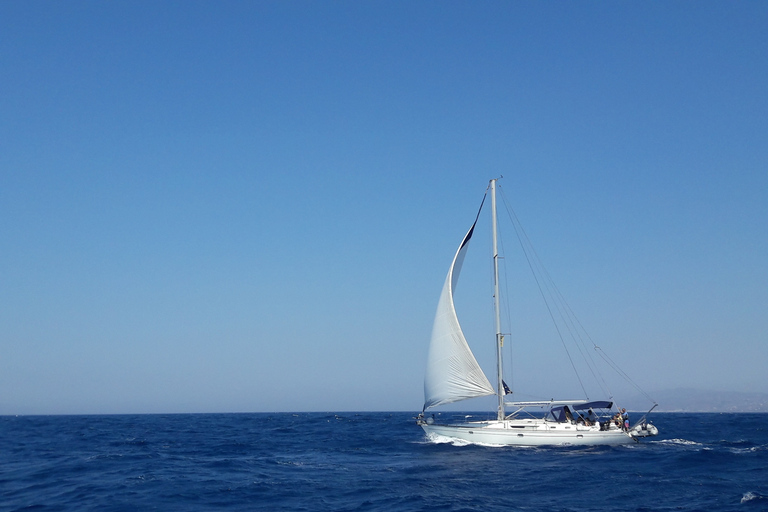 Mykonos : Croisière à la voile d'une journée complète sur Delos et Rhénia avec repasCroisière à la voile en groupe partagé sur Délos et Rhénanie avec repas