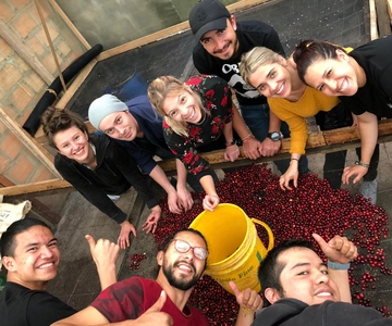 Salento: Visita a uma fazenda de café com degustação