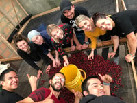 Van Salento, Cocora Valley Day Trip met Coffee Farm Tour - Housity