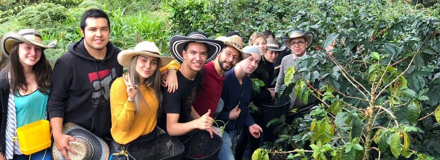 Salento : Visite privée de la vallée de Cocora, du Salento et des plantations de café