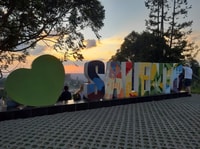 Van Salento, Cocora Valley Day Trip met Coffee Farm Tour - Housity