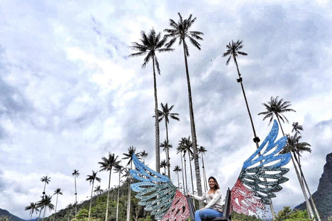 Salento: Private Cocora Valley, Salento & Coffee Farm Tour Pickup in Pereira