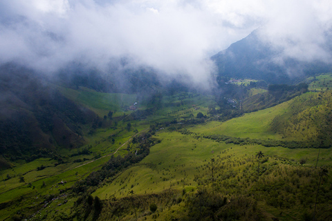 Salento: Private Cocora Valley, Salento & Coffee Farm Tour Pickup in Pereira