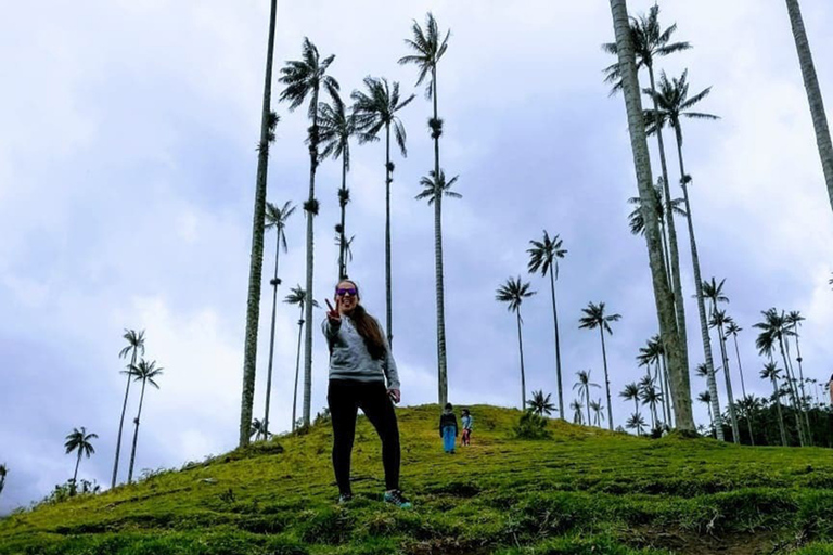 Salento: Private Cocora Valley, Salento & Coffee Farm Tour Pickup in Pereira