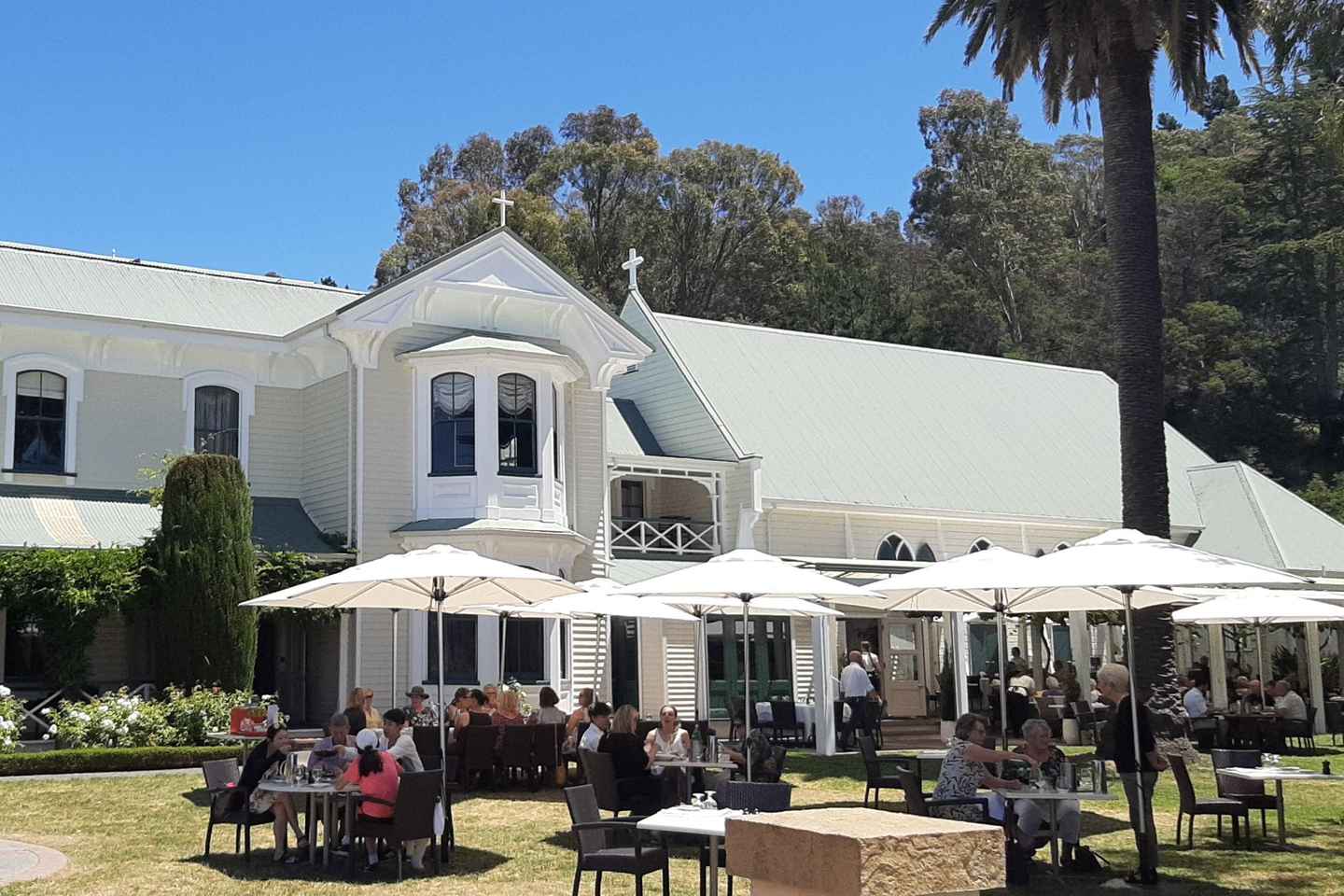 wine tours in hawkes bay | visit napier's celebrated vineyards on an afternoon tour