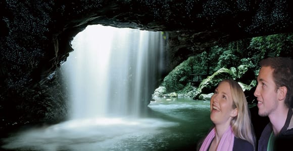 Gold Coast: Natural Bridge Glow Worm Night Tour