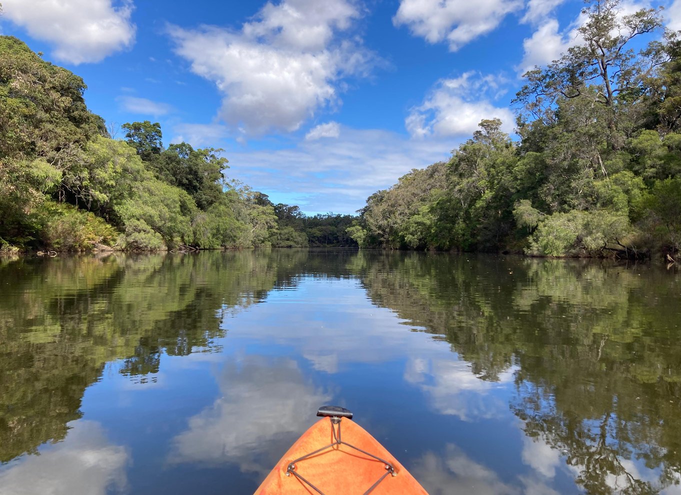 Margaret River: Guidet kajak- og vingårdstur med frokost