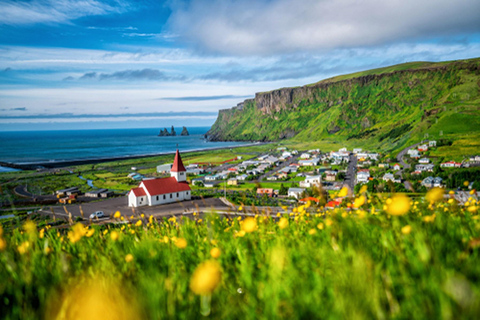 Côte sud de l&#039;Islande - Excursion à terreGroupe de 1 à 8 passagers