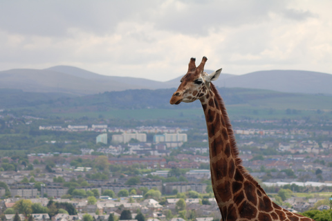 Bilet wstępu do zoo w EdynburguBilet standardowy