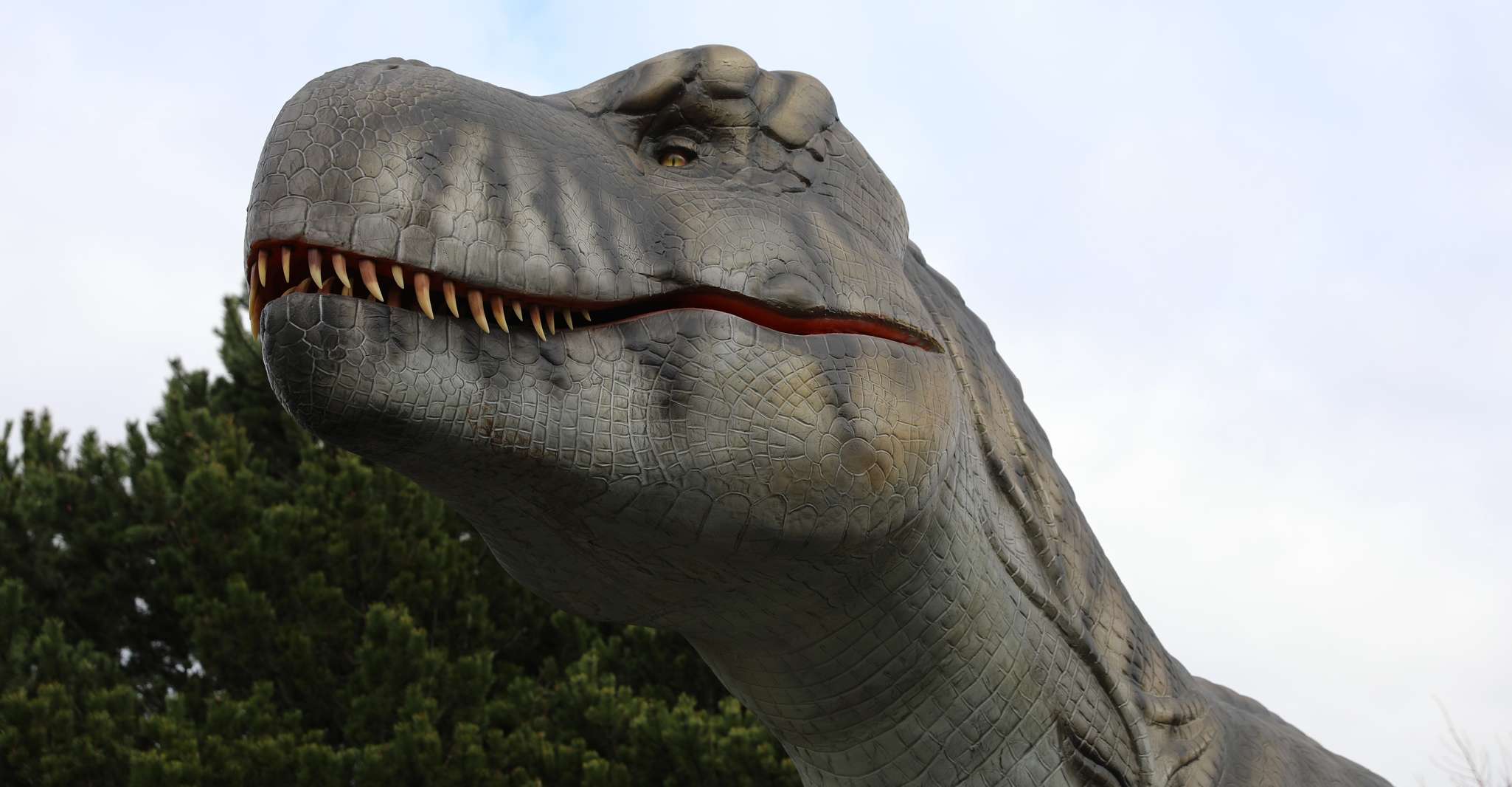Bilhete de Entrada para o Jardim Zoológico de Edimburgo - Hizvo