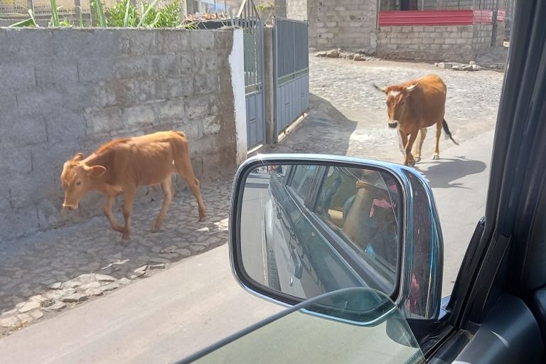 Kap Verde: Ganztägig mit professionellem Taxifahrer