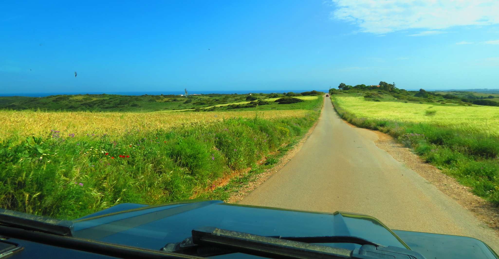 Algarve, Serra de Monchique & Bravura Off-Road Day Trip - Hizvo