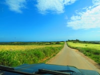 Algarve, Serra de Monchique et Bravura Excursion d'une journée hors route - Hizvo