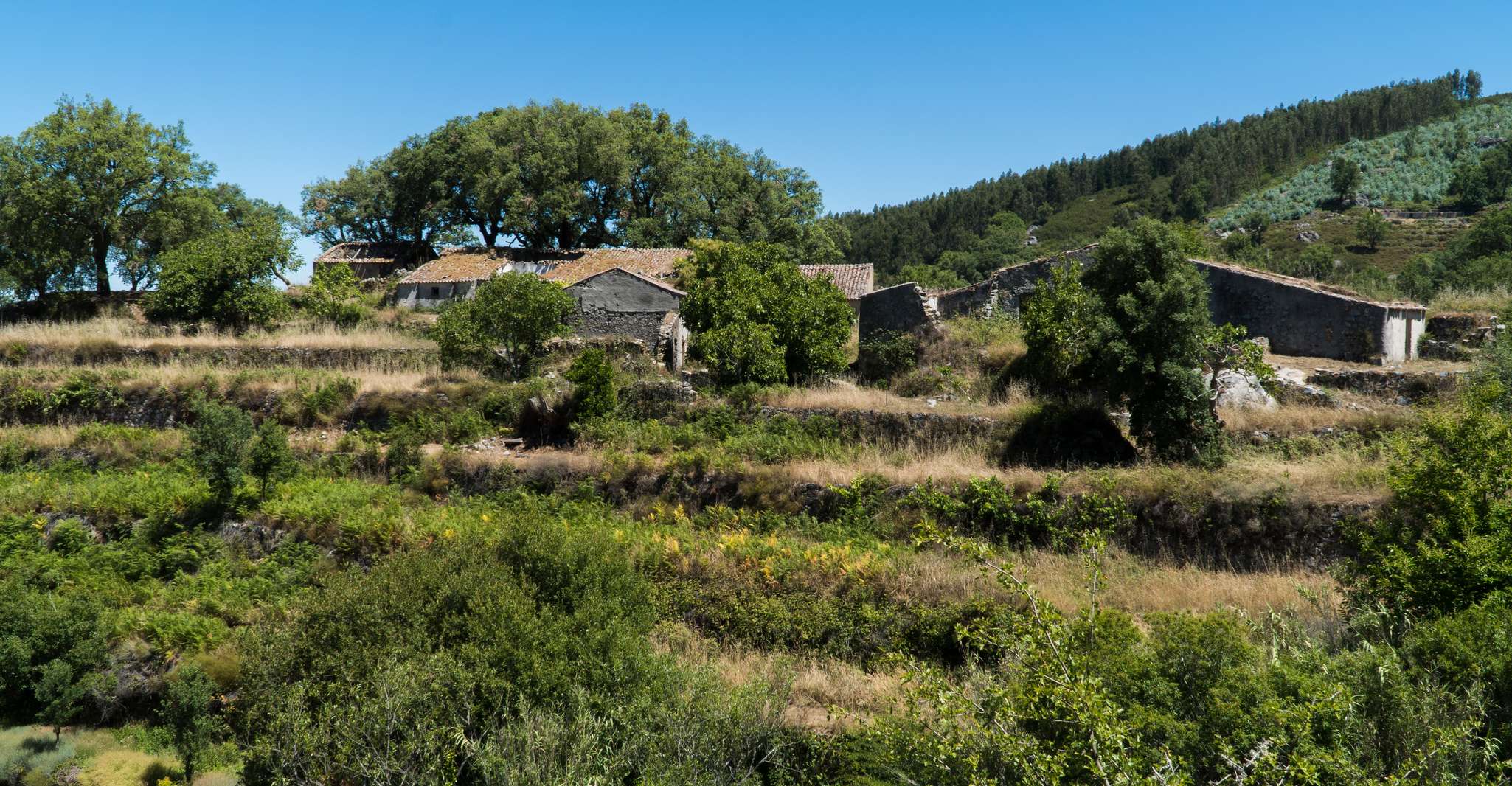 Algarve, Serra de Monchique & Bravura Off-Road Day Trip - Hizvo