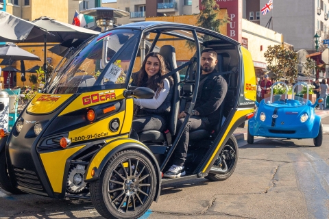 San Diego: Downtown Electric GoCar Rental Tour
