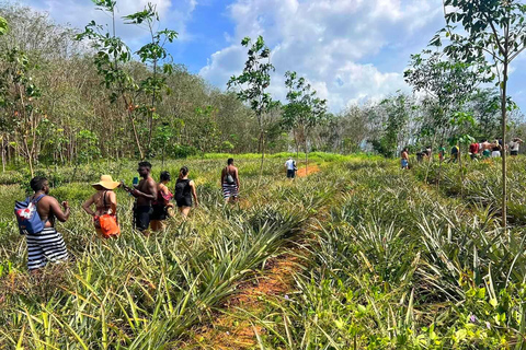 Ao Nang: Crystal Pool Kajak, ATV und Ananas Farm Tour1-stündige ATV-Fahrt