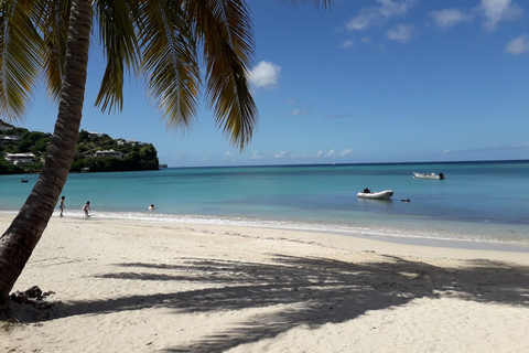 Grenade: visite d'une journée avec dégustation de chocolat et de rhumGrenade: Full-Day Tour au chocolat et rhum Échantillonnage