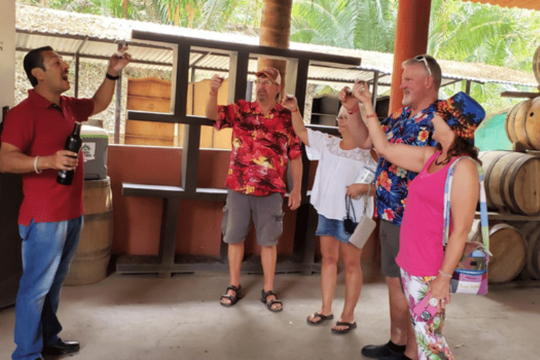 Puerto Vallarta: Tour della città