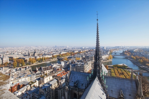 Paryż: Flyover Paris w VR i samodzielna wycieczka audio po mieście