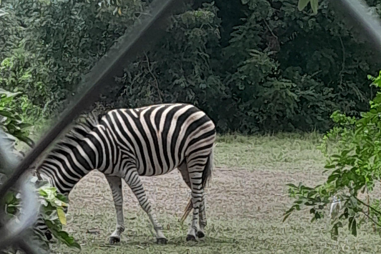 Shai Hills Resource Reserve+Volta Lake boat Cruise+lunch