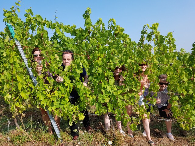Visit Alsace Private Wine Tour in Colmar, Francia