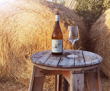 Santa Maria Imbaro: La Vinarte Wine tour
