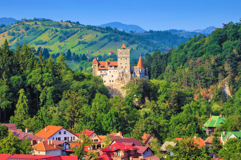 Desde Bucarest: tour 1 día al Castillo de Drácula y BrașovBucarest: Castillo Drácula, Peleș y casco antiguo de Brasov