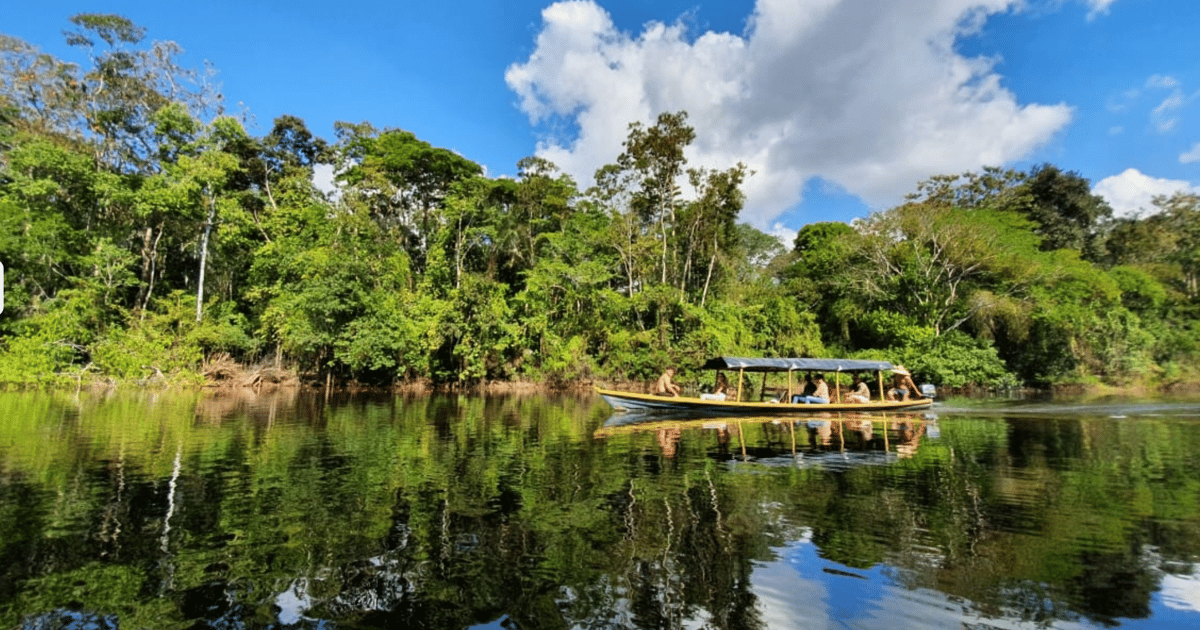 From Leticia 2, 3, 4 or 5Day Amazon Adventure Tour GetYourGuide