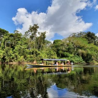From Leticia: 2, 3, 4 or 5-Day Amazon Adventure Tour