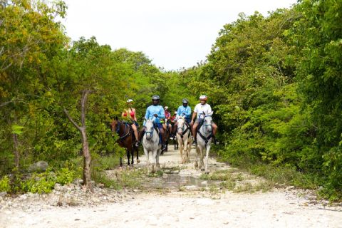 Punta Cana: passeio a cavalo guiado de natação com cavalos