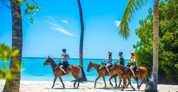 Swim Horse from Punta Cana