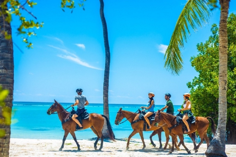 Punta Cana: zwemmen met paarden begeleide paardrijtocht