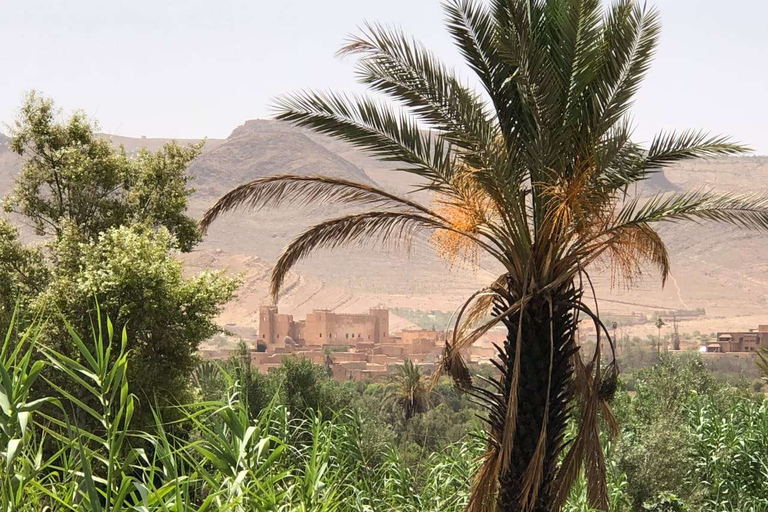 Privé 2-daagse woestijnreis met kamperen en kameeltrekkingVan Agadir: 2-daagse woestijnreis met kamperen en kameeltrekking