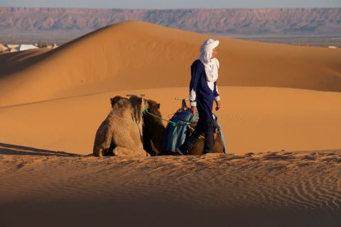 Escursione privata di 2 giorni nel deserto con campeggio e trekking in cammello