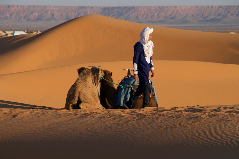 Privé 2-daagse woestijnreis met kamperen en kameeltrekkingVan Agadir: 2-daagse woestijnreis met kamperen en kameeltrekking