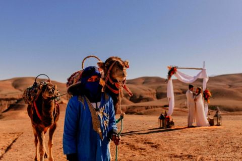 Marrakech: Päivän safari- ja vuorikierros, kameliratsastus