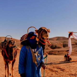 Marrakech: 1 día en el desierto, montañas y paseo en camello