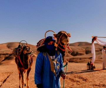 Marrakech: Dagvullende tour door de woestijn en bergen met kamelenrit