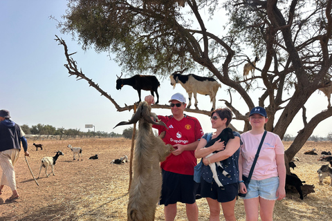 Agadir: Goats on Trees & Crocoparc Tour Goats on Trees & Crocoparc – Entry Ticket Included