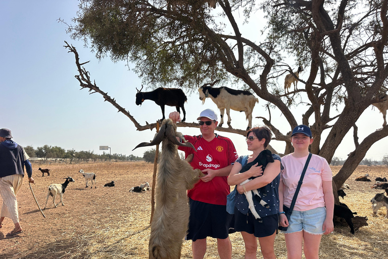 Agadir: Goats on Trees & Crocoparc Tour Goats on Trees & Crocoparc – Entry Ticket Included