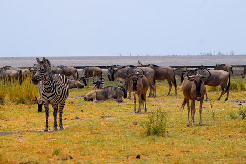 Viaggio di due giorni al Lago Manyara con canoa e passerella tra le cime degli alberiCampeggio a Karatu