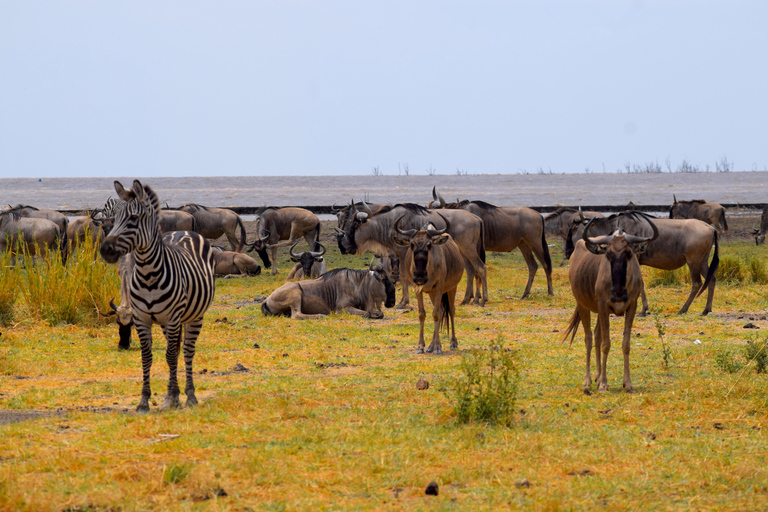 Viaggio di due giorni al Lago Manyara con canoa e passerella tra le cime degli alberiCampeggio a Karatu