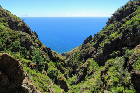 De Funchal: excursion d'une journée au marché des fermiers locaux de Santo de Serra