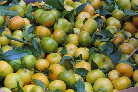 De Funchal: excursion d'une journée au marché des fermiers locaux de Santo de Serra