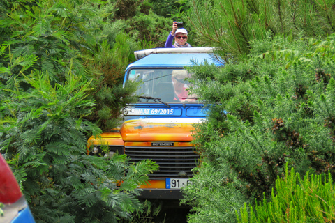 Madeira : Santo de Serra Local Farmers&#039; Market half day tripShared tour